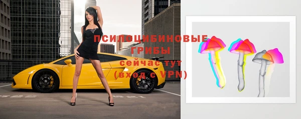 МДПВ Горняк